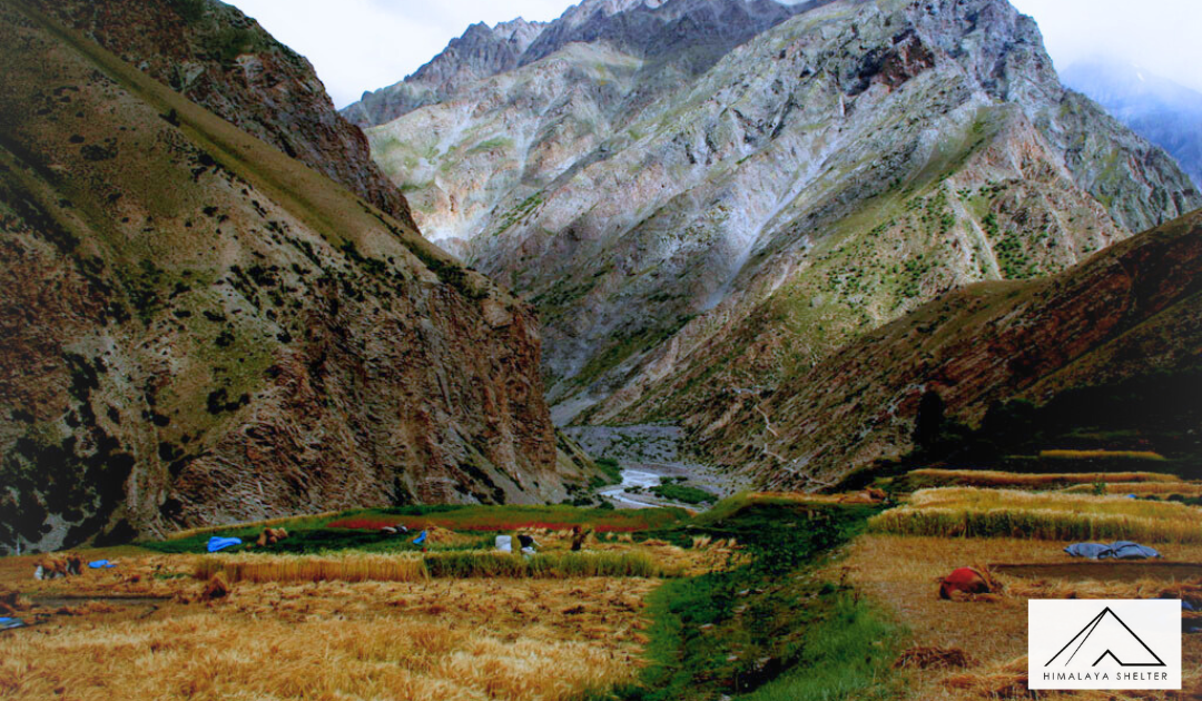 himalaya Shelter