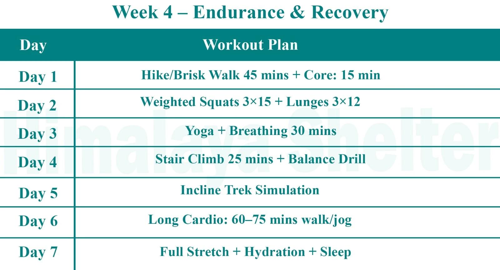 Endurance & Recovery