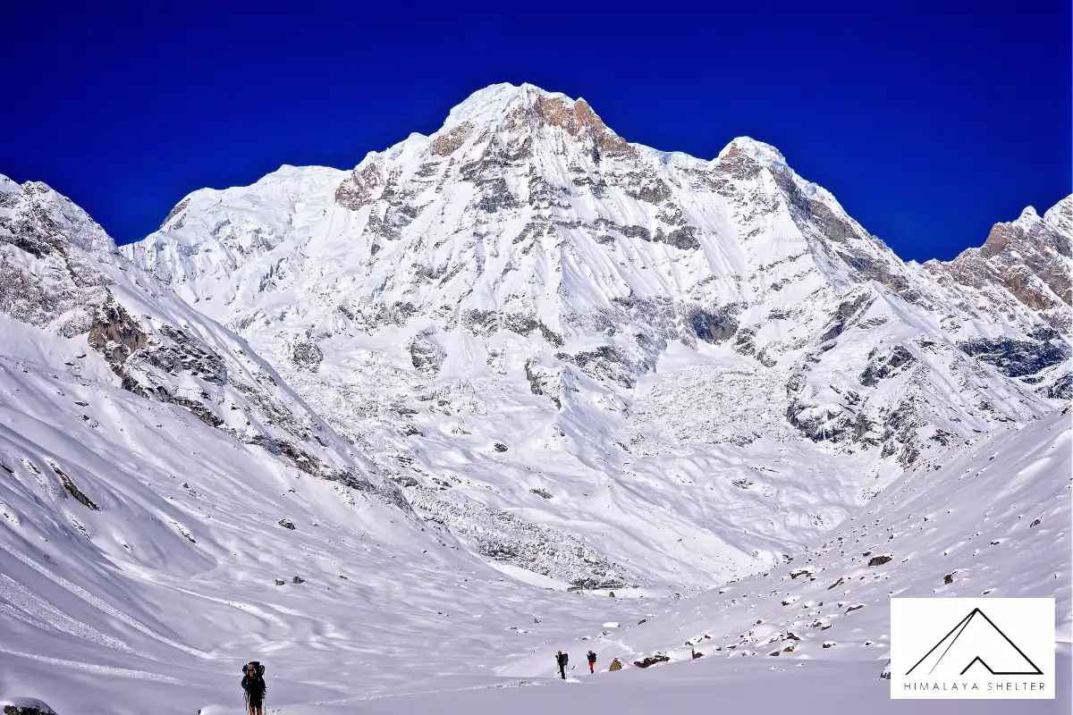 Gallery photo - Annapurna Base Camp Trek 7