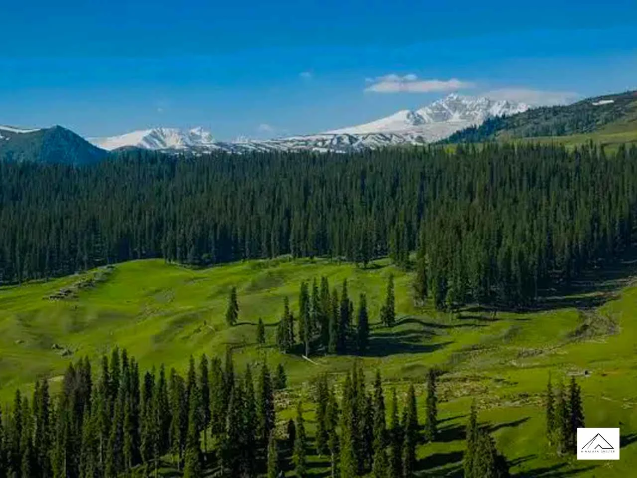 Gallery photo - Tosamaidan Trek 6