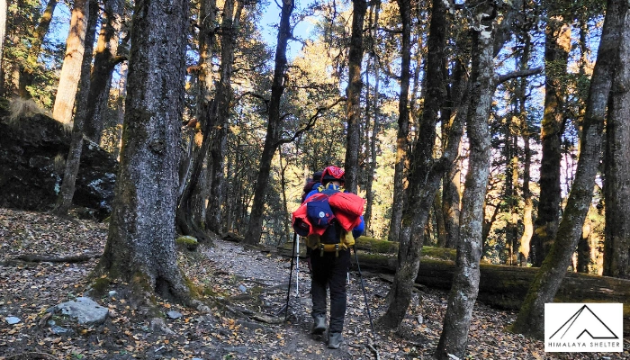 Trekking Routes from wide Forest