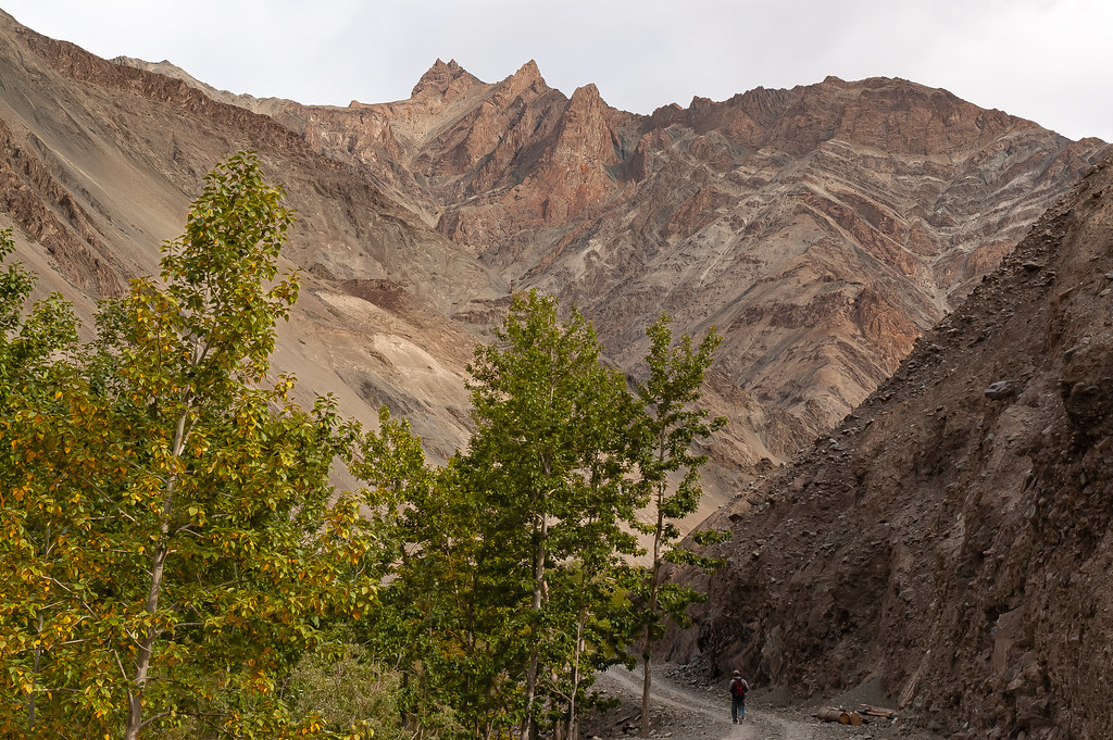 Gallery photo - GHT Ladakh Trek 8