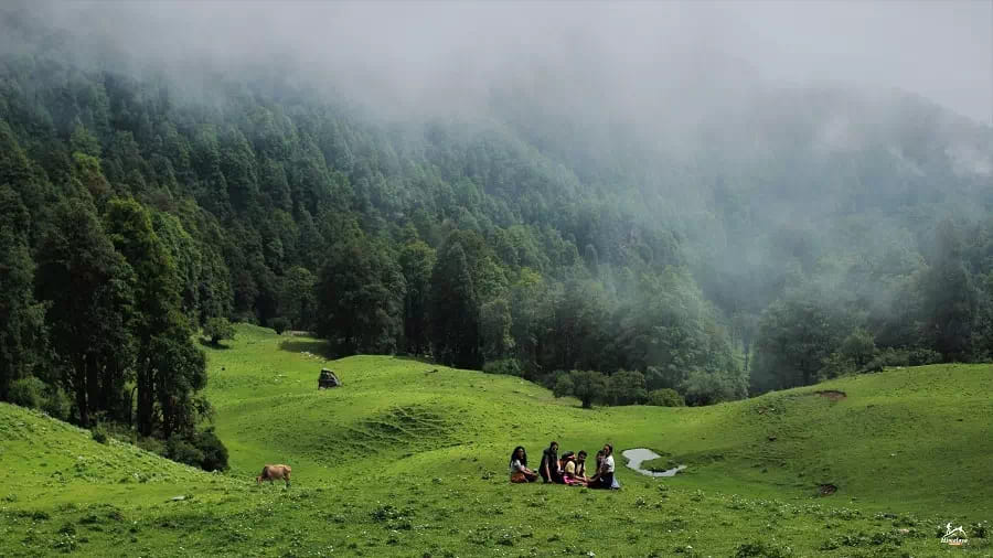 Recent trek Himalayan Bird Watching Guide