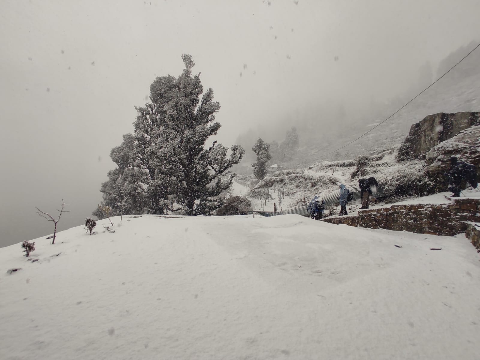 Finally, the wait is over; the first snowfall of the season is here!