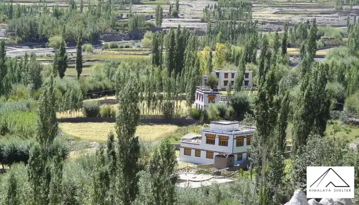 Stok Village Heritage Walk