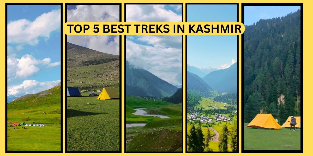 Top 5 Best Treks in Kashmir